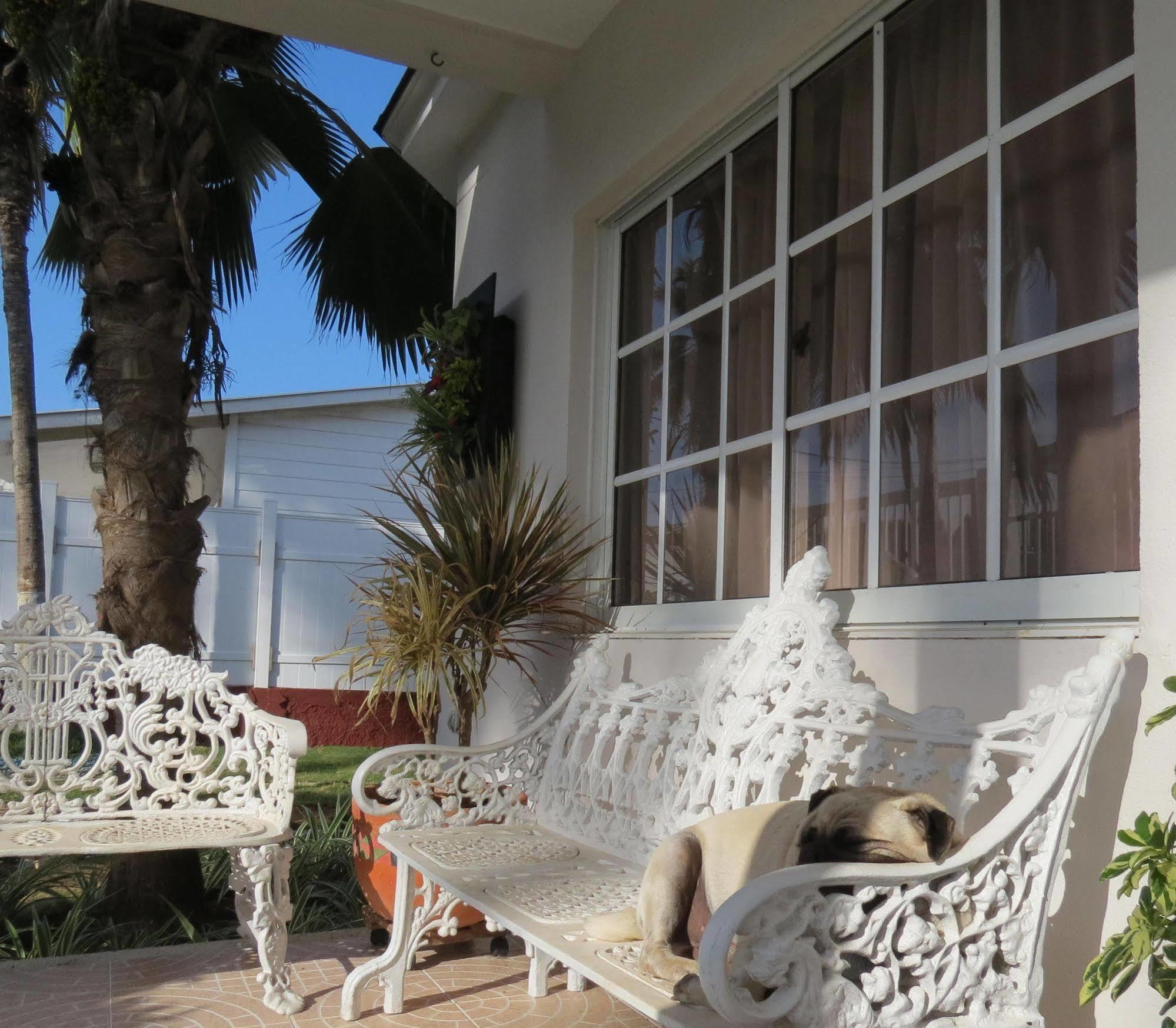 Hostal Mar Y Mar San Andrés Eksteriør billede